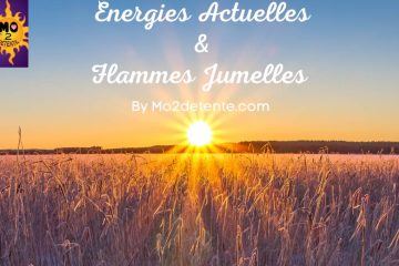 LES ÉNERGIES ACTUELLES selon MAUD