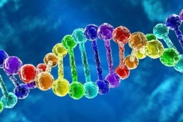 Les 12 brins d’ADN – NOTRE HÉRITAGE Les 12 brins d’ADN – NOTRE HÉRITAGE