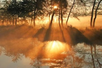 MÉTÉO ASCENSIONNELLE – MÉTAMORPHOSE ET DISSIPATION DE LA BRUME