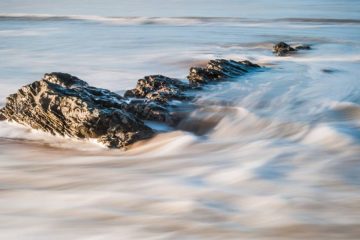 LE FLUX DE LA VIE CONTINUE, QUE VOUS LE VOULIEZ OU NON… LE FLUX DE LA VIE CONTINUE, QUE VOUS LE VOULIEZ OU NON…