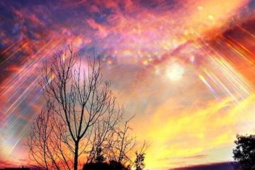 L’INTENTION EST LE VERBE DE LA DIMENSION DE LUMIÈRE