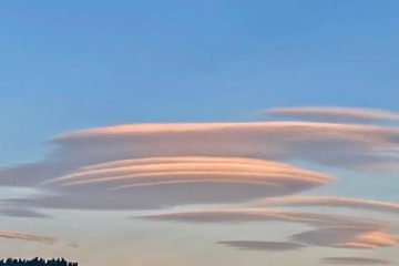 POURQUOI LES E.T. ARRIVENT SUR TERRE ?