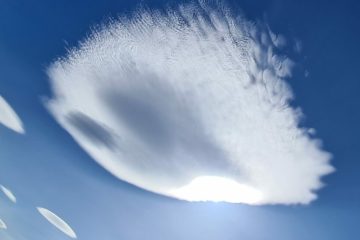 Oui, le Maître est bien sur Terre ! Oui, le Maître est bien sur Terre !