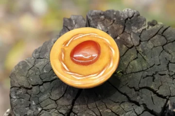 ORGONITE DE COHÉRENCE de Poche