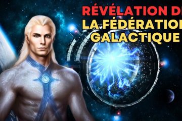 L’ASCENSION VERS LA 5D N’EST PAS POUR TOUS… POUR LE MOMENT (VIDÉO)