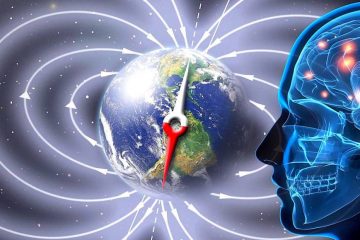MÉTÉO ÉNERGÉTIQUE : ÉVÉNEMENT D’ABSORPTION POLAIRE