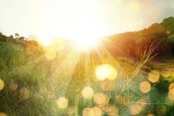 NOTRE PLANÈTE A ÉTÉ PILONNÉE PAR DE FORTES ÉRUPTIONS SOLAIRES