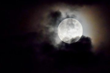 LA PLEINE LUNE DU 22 DÉCEMBRE 2018 selon Maud LA PLEINE LUNE DU 22 DÉCEMBRE 2018 selon Maud