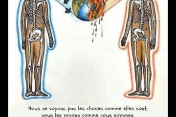 Libre de la psychologie polarisée