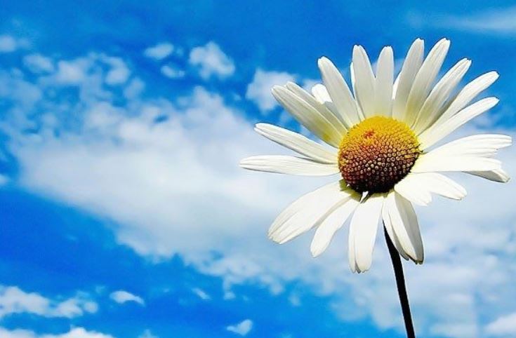 COMMENT CHANGER L’ESPRIT DES AUTRES HUMAINS ?…