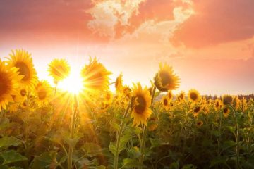 Le SOLSTICE nous apporte un puissant alignement des PORTES STELLAIRES et des FLUX DE PLASMA