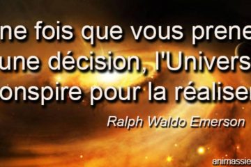 FAITES UN PREMIER PAS CAR L’UNIVERS NE PEUT PAS PRENDRE DE DÉCISION À VOTRE PLACE ! FAITES UN PREMIER PAS CAR L’UNIVERS NE PEUT PAS PRENDRE DE DÉCISION À VOTRE PLACE !
