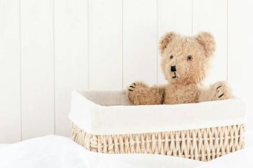 09.09 Célébrons l’Amour et la Douceur : Journée Mondiale du Nounours