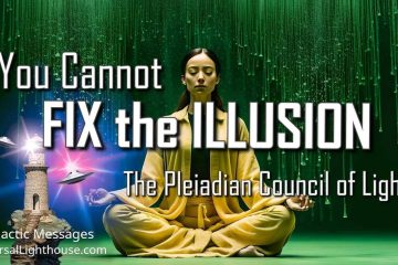 VOUS NE POUVEZ PAS RÉPARER L’ILLUSION VOUS NE POUVEZ PAS RÉPARER L’ILLUSION