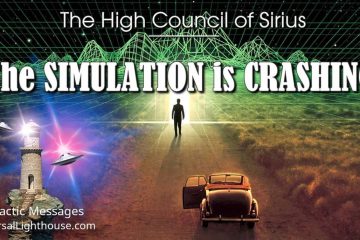 LA SIMULATION S’EFFONDRE