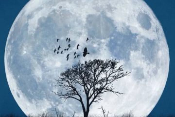 LA SUPER PLEINE LUNE DU 17 OCTOBRE 2024 selon MAUD
