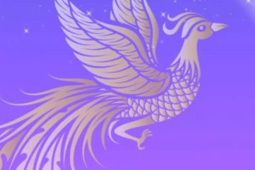 PORTAIL 111 & NOUVELLE LUNE DU 01 NOVEMBRE 2024