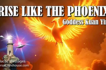 ÉLEVEZ-VOUS COMME LE PHOENIX ! ÉLEVEZ-VOUS COMME LE PHOENIX !