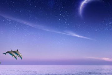 LA NOUVELLE LUNE DU 1ᵉʳ DÉCEMBRE 2024 selon MAUD