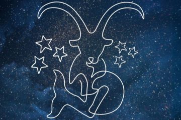 LA SAISON DU CAPRICORNE  DU 22 DÉCEMBRE AU 20 JANVIER