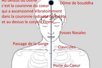 ACTIVATION DES 10, 11 & 12ᵉ CORPS DE LUMIÈRE