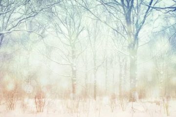 INTIMITÉ AVEC SON ANGE ET SES GUIDES