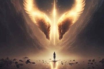 LES VIES DANS LA VIE (suite)