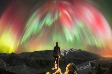 UNE NOUVELLE LIBERTÉ A ÉTÉ RÉTABLIE SUR TERRE UNE NOUVELLE LIBERTÉ A ÉTÉ RÉTABLIE SUR TERRE