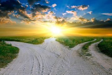 PRENEZ-VOUS UN CHEMIN SINUEUX OU UNE AUTOROUTE DYNAMIQUE ?… PRENEZ-VOUS UN CHEMIN SINUEUX OU UNE AUTOROUTE DYNAMIQUE ?…