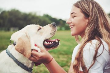 CE QUE LES ANIMAUX NOUS APPRENNENT