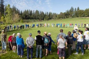 LA COMMUNAUTÉ UN RETOUR VERS L’ESSENTIEL LA COMMUNAUTÉ UN RETOUR VERS L’ESSENTIEL