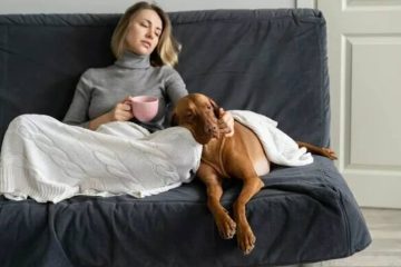VOUS SENTEZ-VOUS DÉTACHÉ DE LA RÉALITÉ ?… VOUS SENTEZ-VOUS DÉTACHÉ DE LA RÉALITÉ ?…
