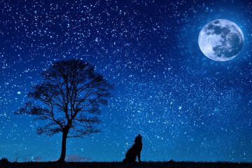 Les énergies de la Pleine Lune du 22 décembre 2018 et du Solstice d’Hiver…