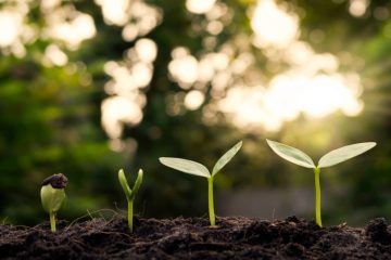 LA GRATITUDE DE NOTRE PÈRE MÈRE SOURCE
