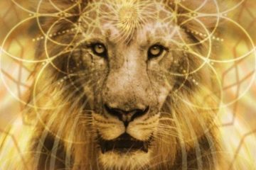 MÉTÉO ÉNERGÉTIQUE : LE PORTAIL DU LION EST OFFICIELLEMENT OUVERT MÉTÉO ÉNERGÉTIQUE : LE PORTAIL DU LION EST OFFICIELLEMENT OUVERT