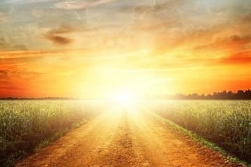 LA RÉINCARNATION NE SERA PLUS OBLIGATOIRE LA RÉINCARNATION NE SERA PLUS OBLIGATOIRE
