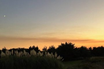 MAINTENANT NOUS VIVONS DANS L’AMOUR MAINTENANT NOUS VIVONS DANS L’AMOUR