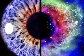 L’OEIL NE VOIT QUE CE QUE L’ESPRIT EST PRÊT À COMPRENDRE L’OEIL NE VOIT QUE CE QUE L’ESPRIT EST PRÊT À COMPRENDRE