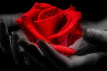 CHOISISSEZ TOUJOURS L’AMOUR, CAR IL EST BON POUR L’ÂME CHOISISSEZ TOUJOURS L’AMOUR, CAR IL EST BON POUR L’ÂME