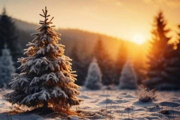 MISE À JOUR ASTROLOGIQUE DU SOLSTICE D’HIVER 2024