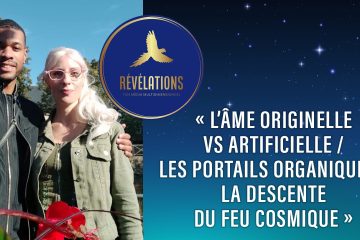 NOUVEAU SÉMINAIRE DE NOVEMBRE : « L’âme Originelle vs artificielle / Les Portails Organiques / La descente du Feu Cosmique » animé par Trinity & Jérémy