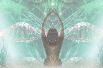 UNE TRANSFORMATION PROFONDE A LIEU AU NIVEAU INDIVIDUEL UNE TRANSFORMATION PROFONDE A LIEU AU NIVEAU INDIVIDUEL